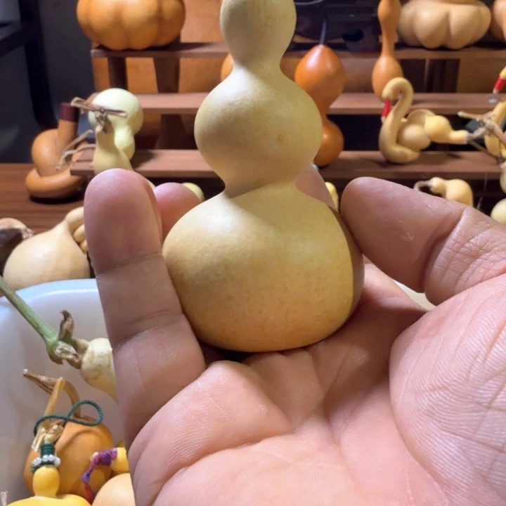 九***龙葫芦111111111111