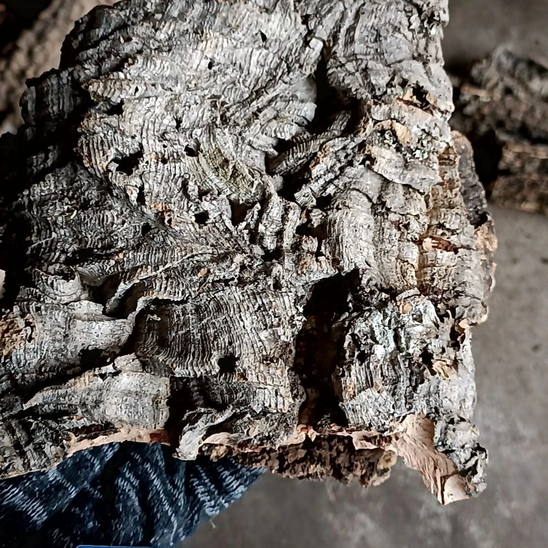 一物一拍一物一发