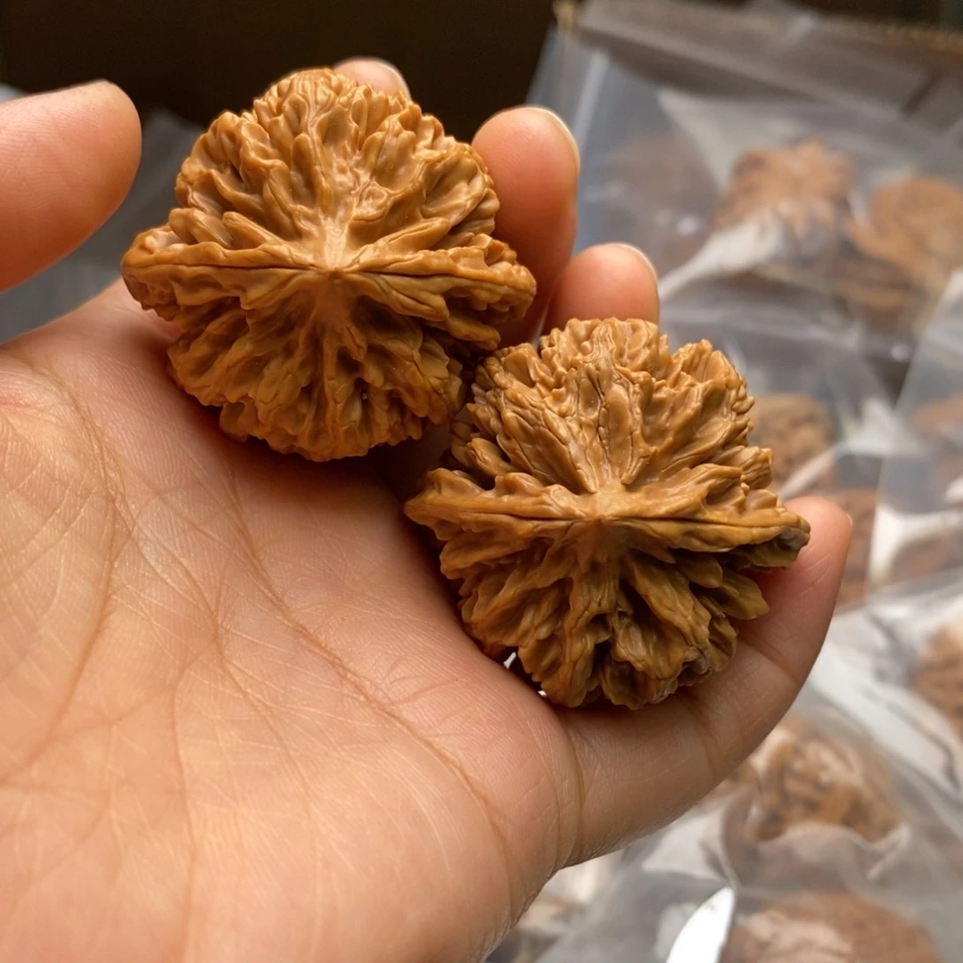 文玩核桃把件花王41尺
