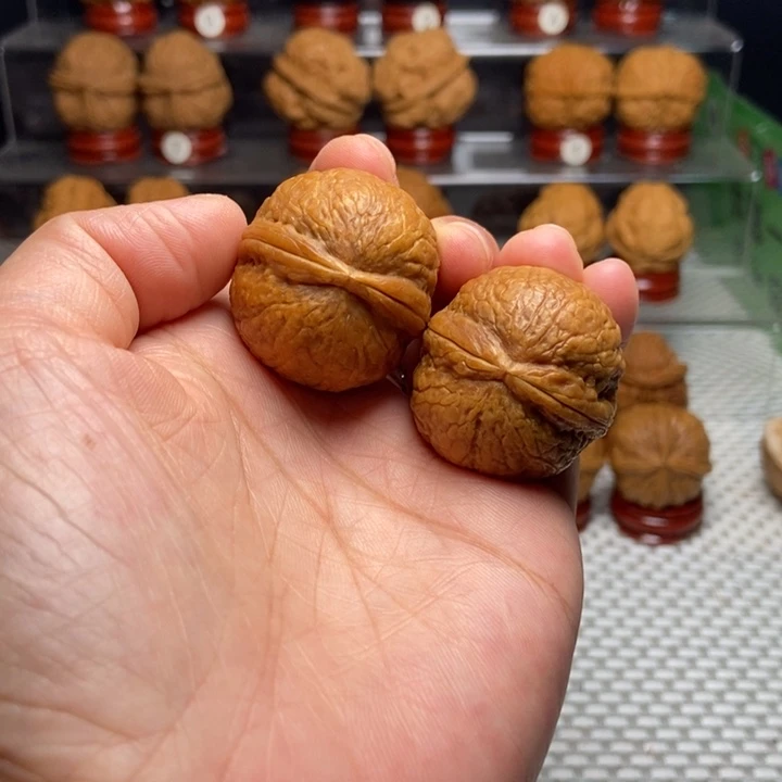 把件文玩核桃1辞海龙珠