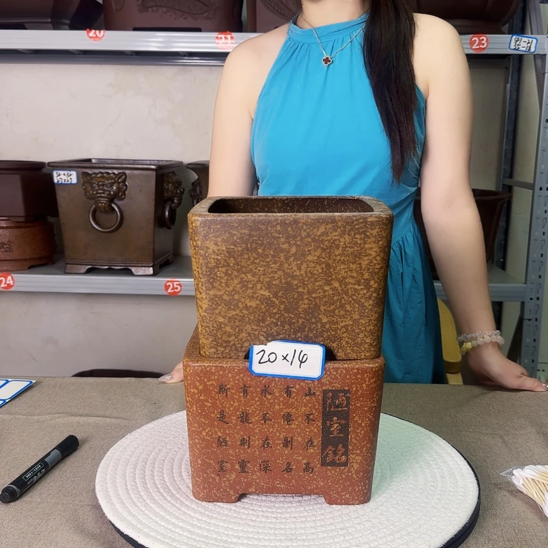 紫砂花盆紫砂花开