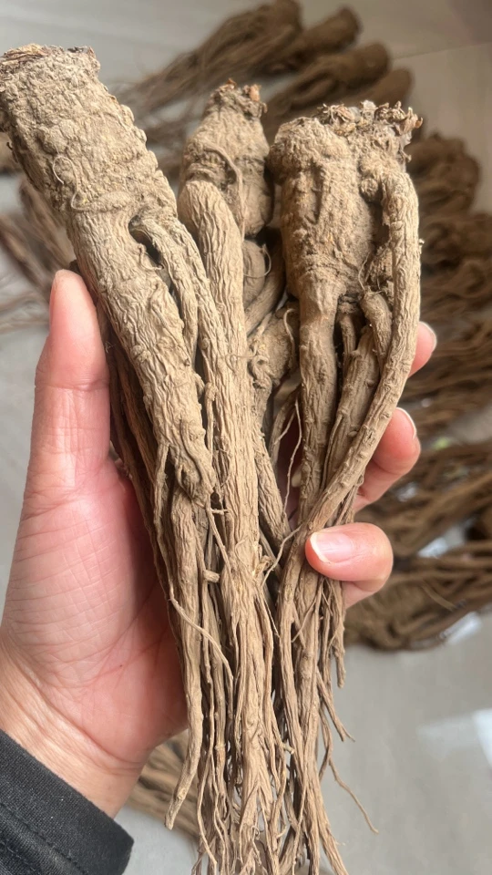 当归原条岷归原色用黄芪搭配煲汤原产的发货