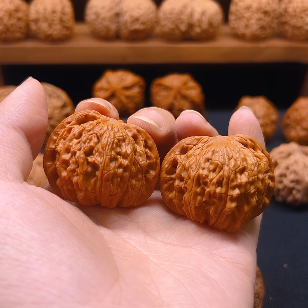 不****把件核桃蝴蝶对歪43全品