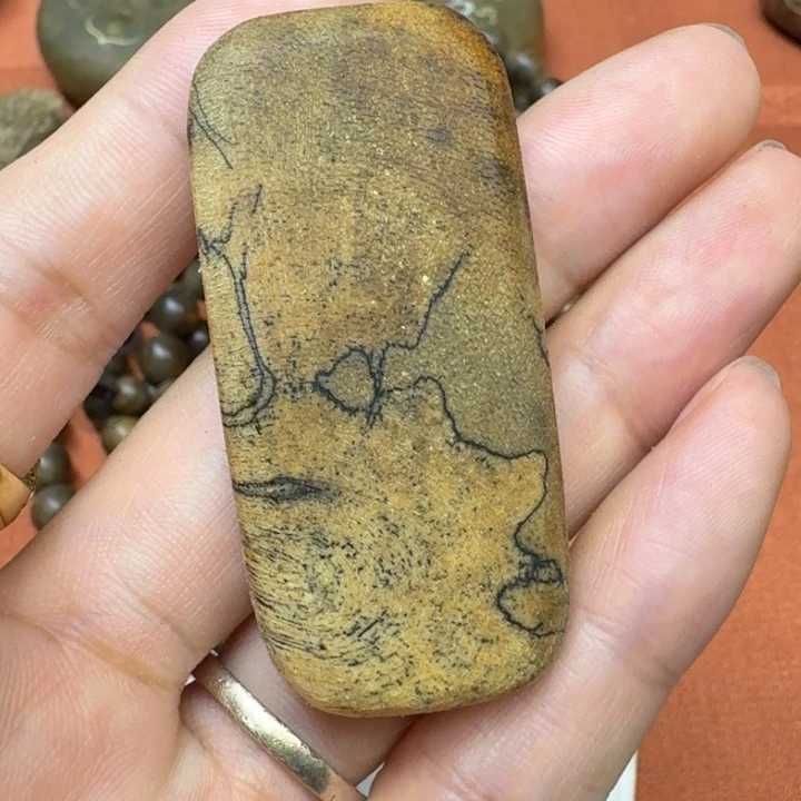 大叶紫檀（黑酸枝木类）
