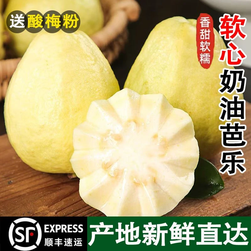 顺丰包邮新鲜福建土楼白心软糯香甜芭乐番石榴现摘当季水果5斤