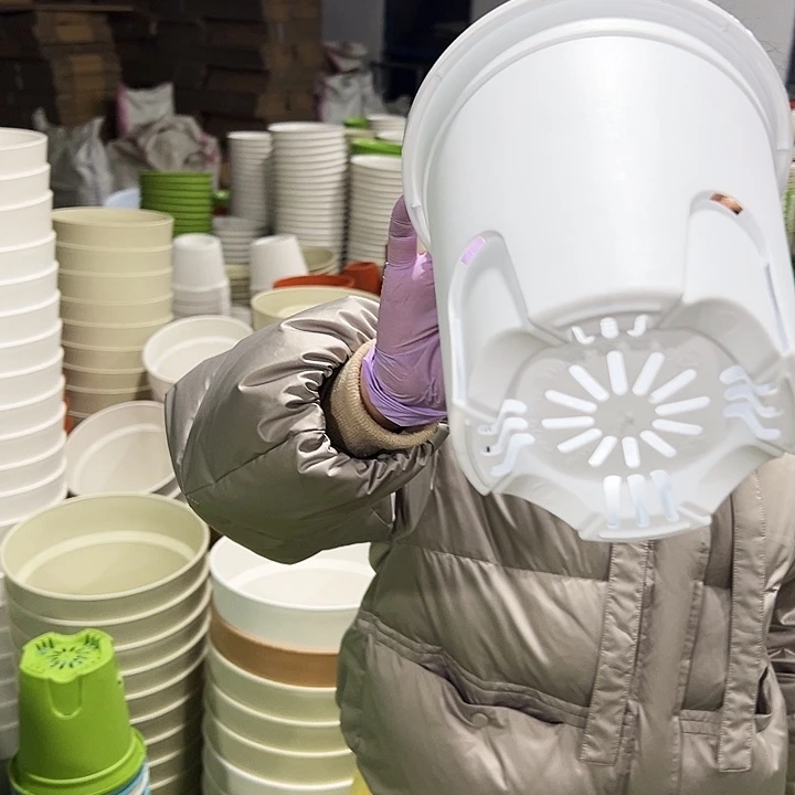 正品圆控口18高18白色8只无托