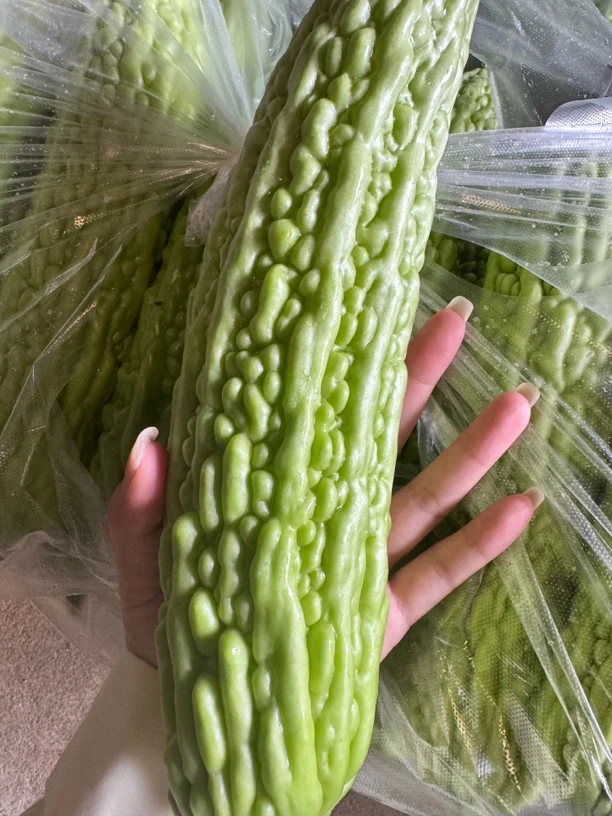 露天种植苦瓜农家自种