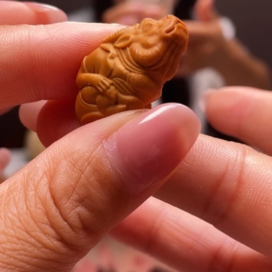 橄榄核的颜色和颜色也