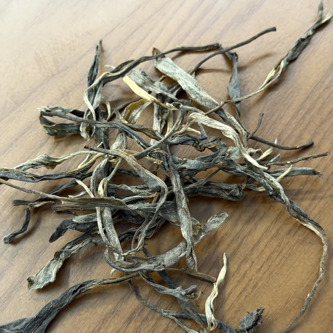 破店之天越普洱-2025年-闪闪7.0系列