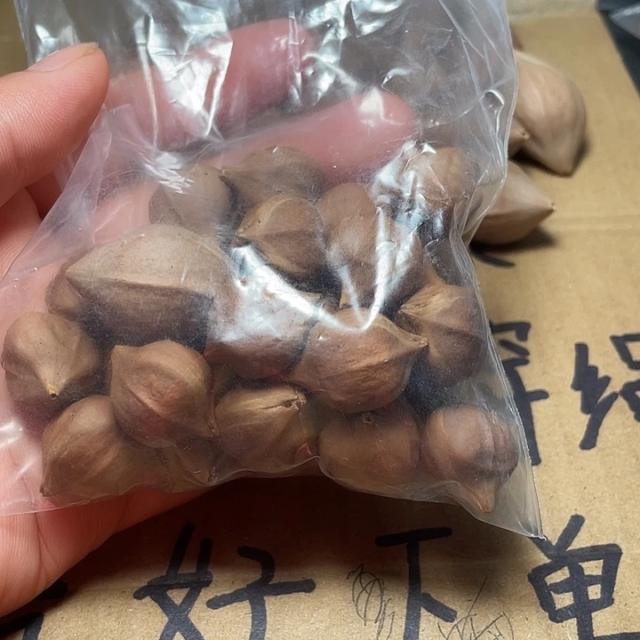 橄榄核手串/手链六*哥