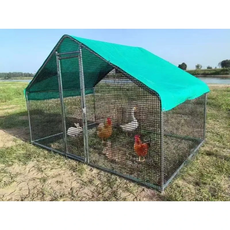 大型养殖棚养殖笼户外鸡棚鸽子棚小型养殖棚鸭子鹅兔鸡笼家用养鸡
