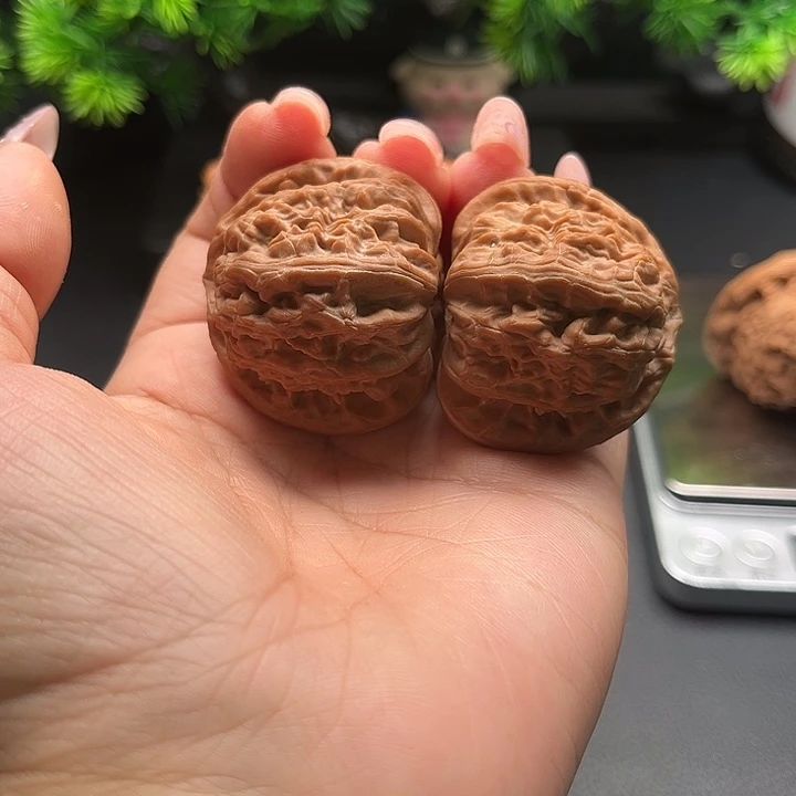 1***1核桃38白狮子全品