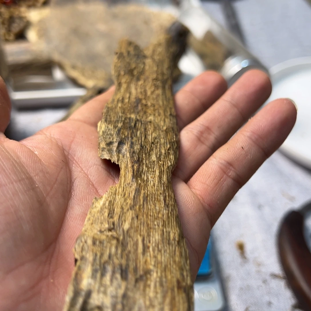 沉香沉香碎屑透顶绿21克