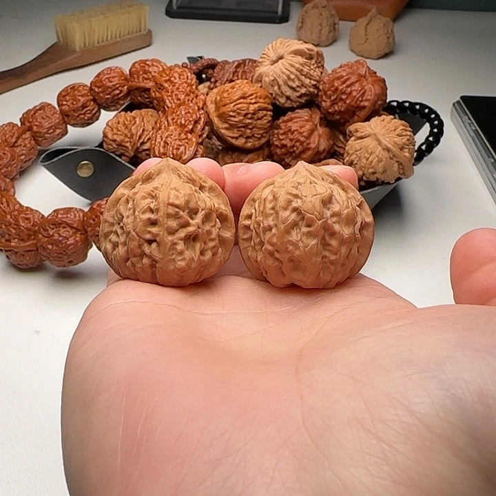 33-32-30全品三角肉火桃B23号