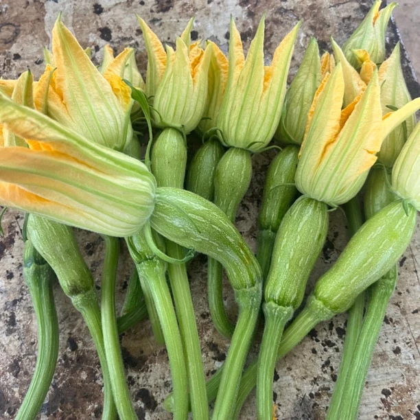 广西新鲜南瓜仔带花时令蔬菜香甜口感露天种植小南瓜带花