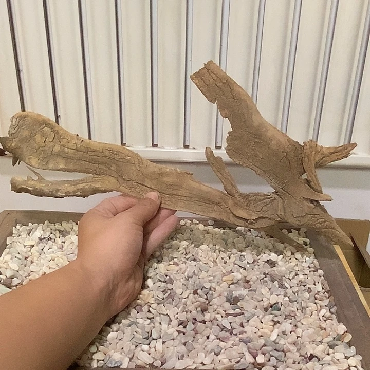 高***平柏木崖柏根雕天然艺术