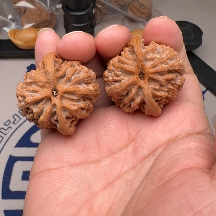 桃核把件山地苹果园39尺13