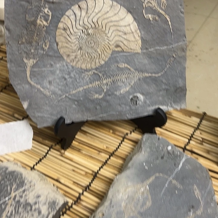 泥塑沉积岩石头摆件