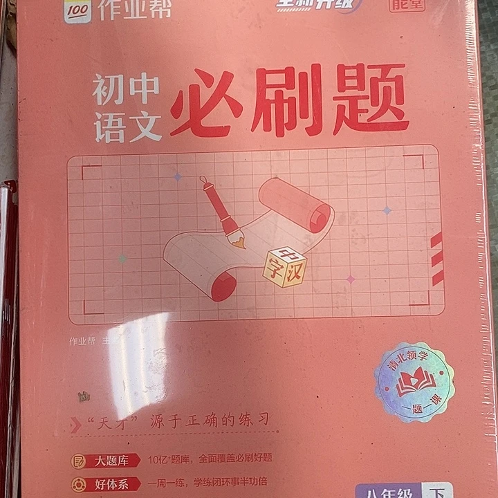 初中语文必刷题八年级下册