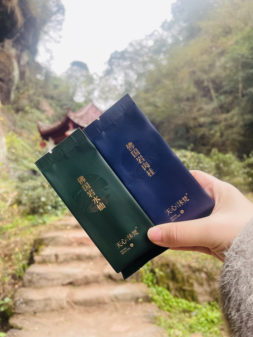 佛国岩cp组合品鉴。a+水仙一泡+a+肉桂一泡。