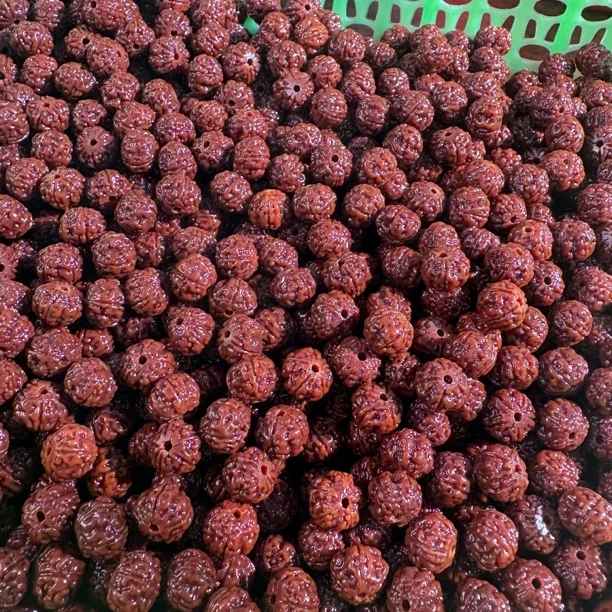 微切树王散籽100颗一单