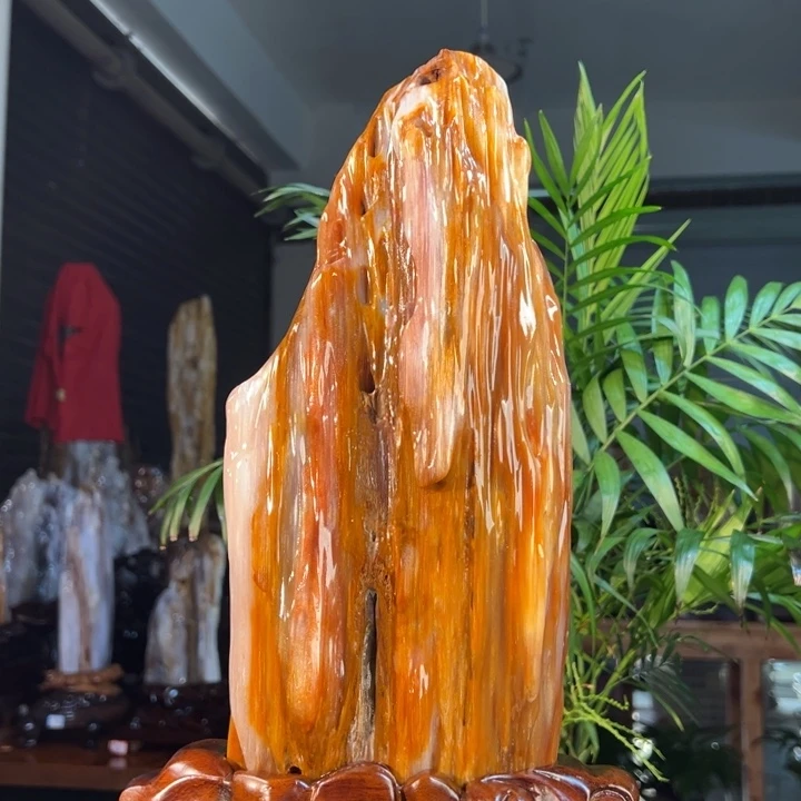 硅化玉（树化玉）未镶嵌珠宝奇石