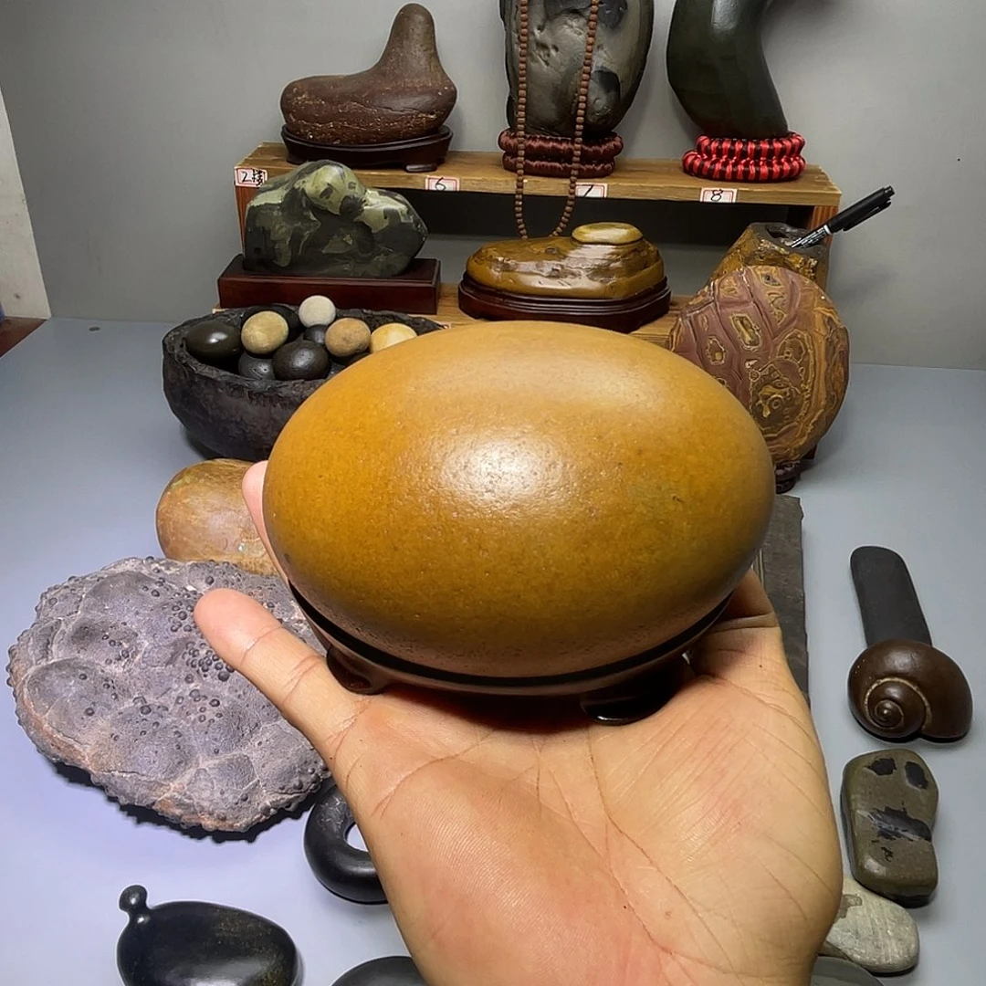 墨***辰有机玻璃255587788777766