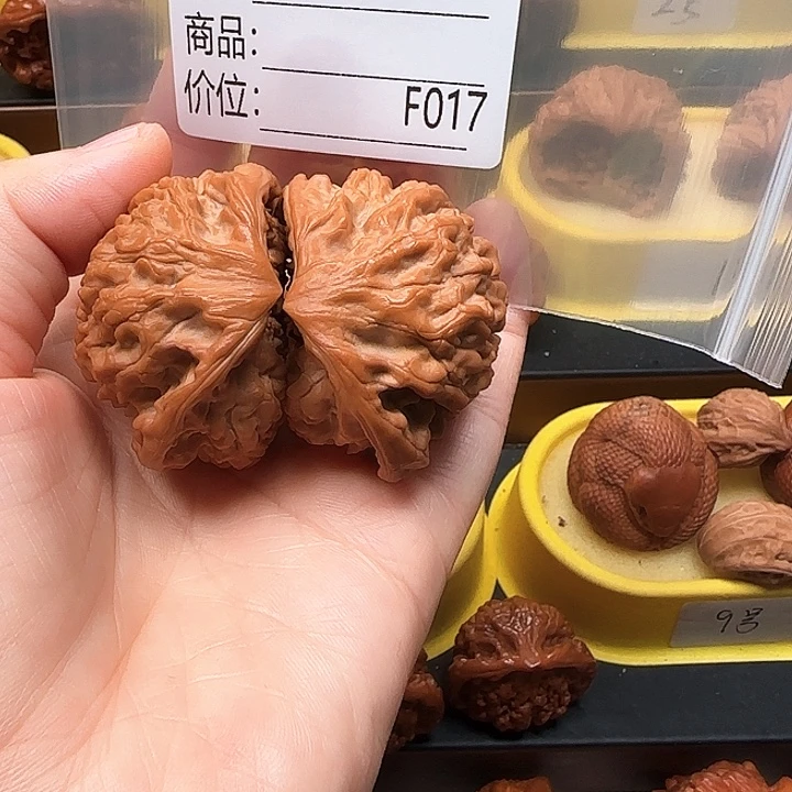 随***膀木质类蛇王蛇王蛇王45