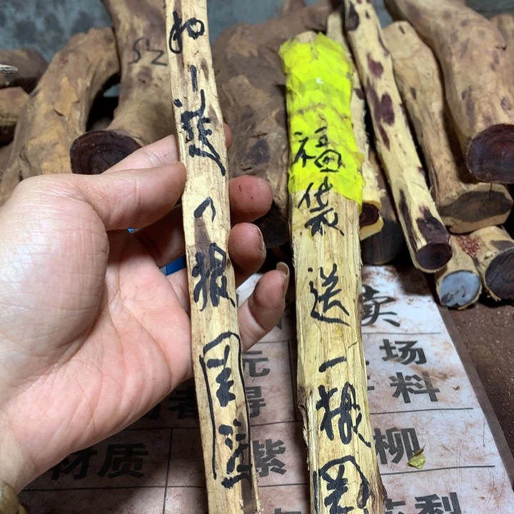 大果紫檀（缅甸花梨）文*