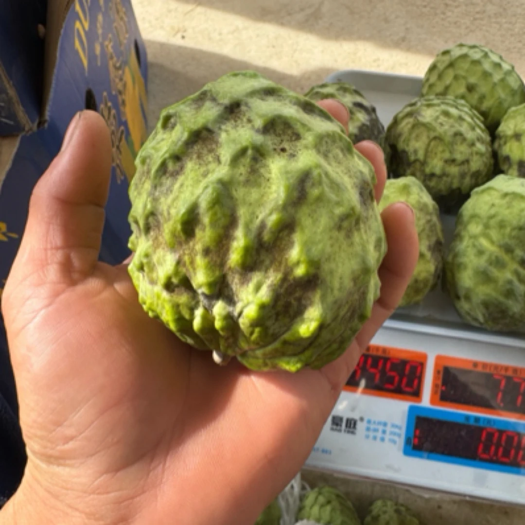 番荔枝释迦果老树果花皮果