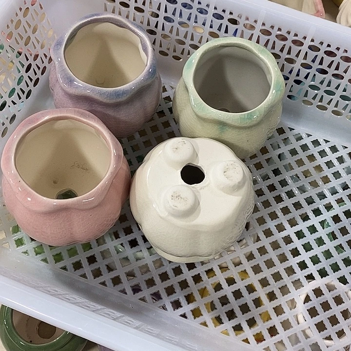 花盆抢购清货马上开始