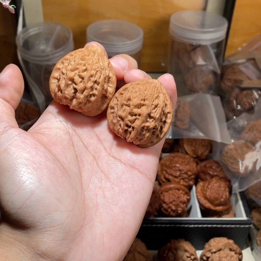 还***呢40尺寸金牛狮子头