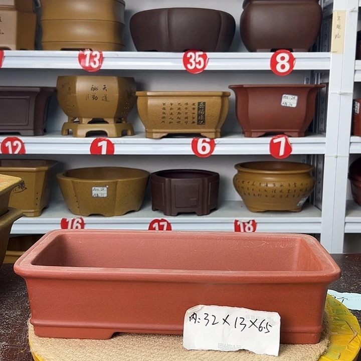 花盆紫砂你在一起