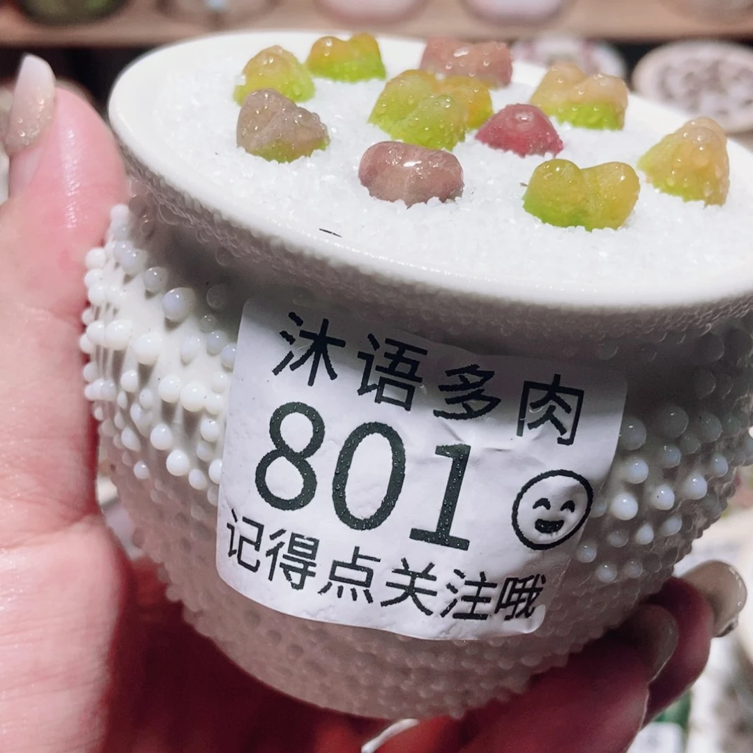 一物一拍 所见即所得 801