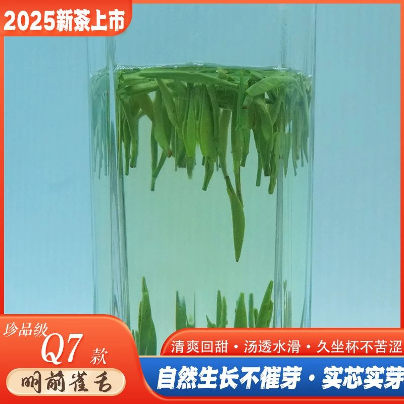 【2025年新茶】Q7珍品明前手工雀舌茶头采实芯芽【嫩栗香+兰花香】