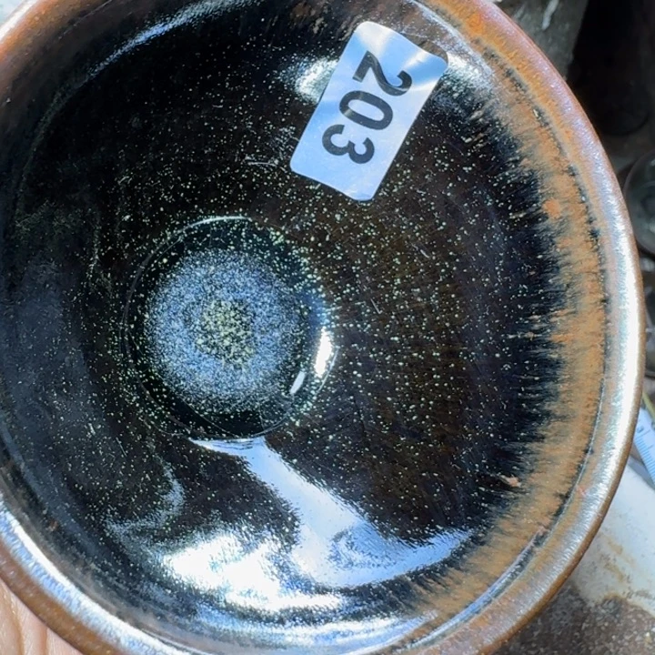 茶盏提出解决农村留守学生入学