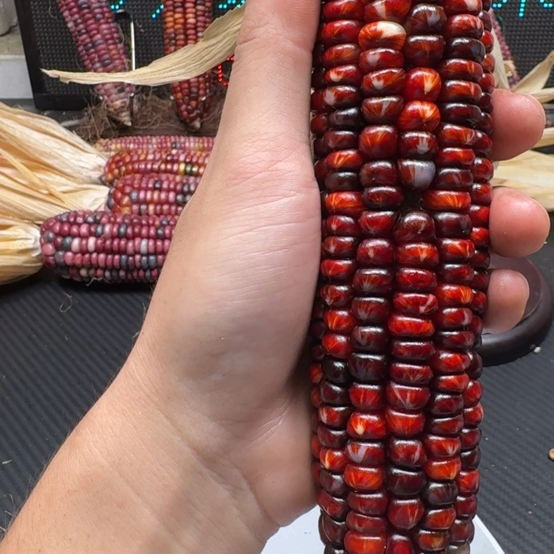 玉***亏柏香籽/百香籽吊坠