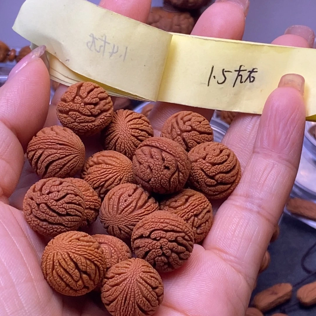 秦岭龙纹桃核16颗
