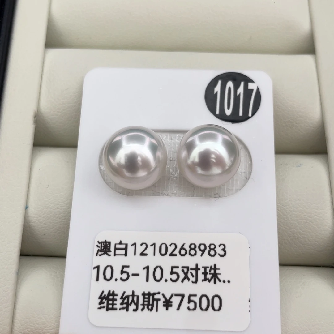 未镶嵌海水珍珠耳饰10.5海水澳白珍珠