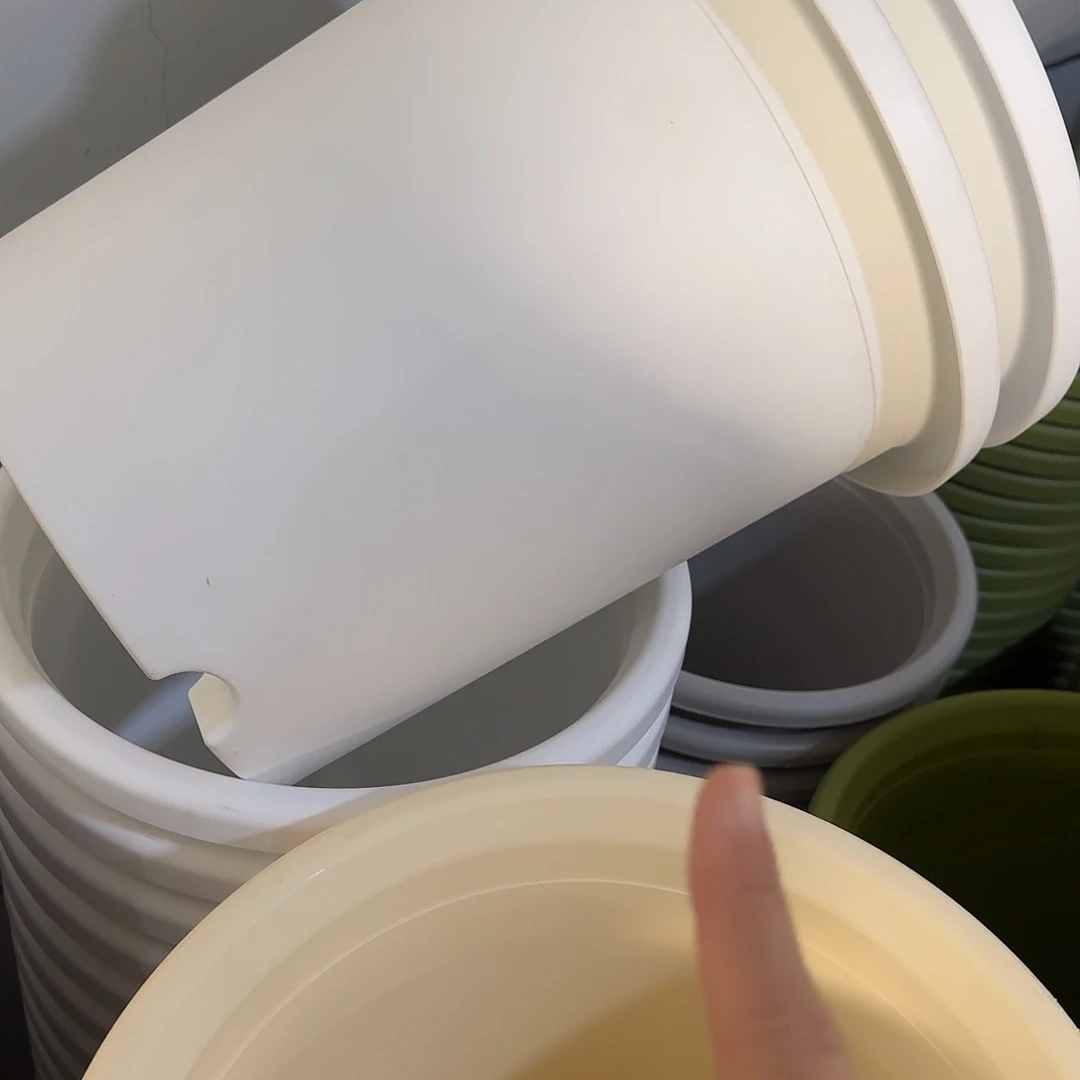 树脂四季7号无托3个，白，微瑕