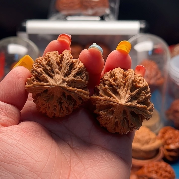 文玩核桃把件九龙筋 三棱 全品