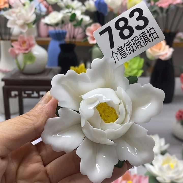 陶瓷陶瓷材料加工