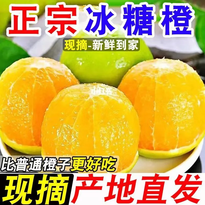 云南哀牢山冰糖橙青皮水果新鲜当季清甜多汁皮薄肉厚