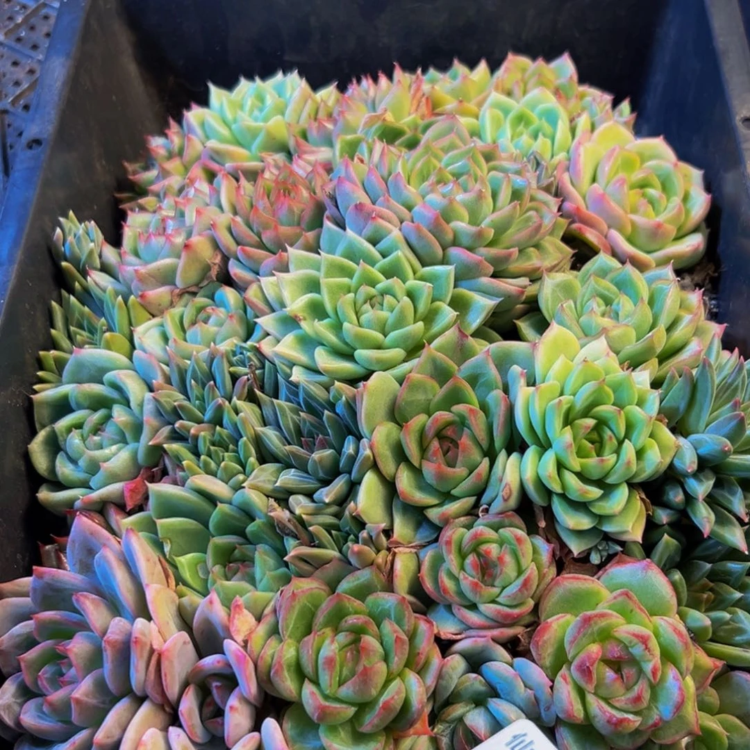 049的人了还在看电视吗我在