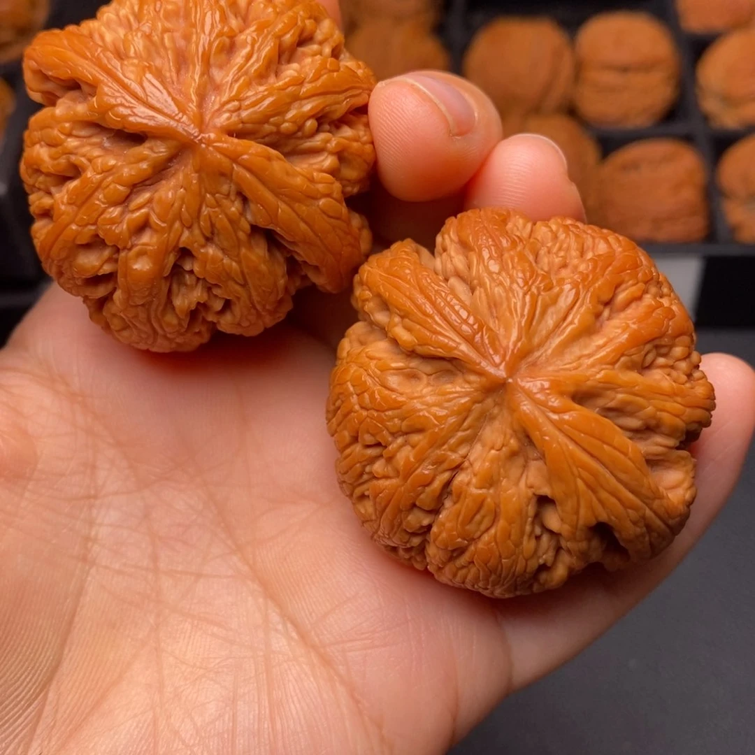 文玩核桃把件秦岭野生核桃