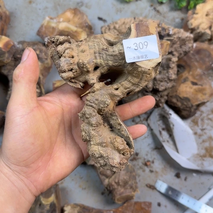 昆***播无花朵0000000000309