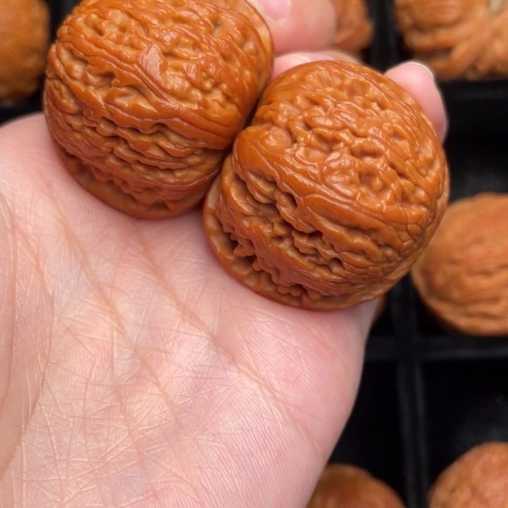 秦岭野生文玩核桃