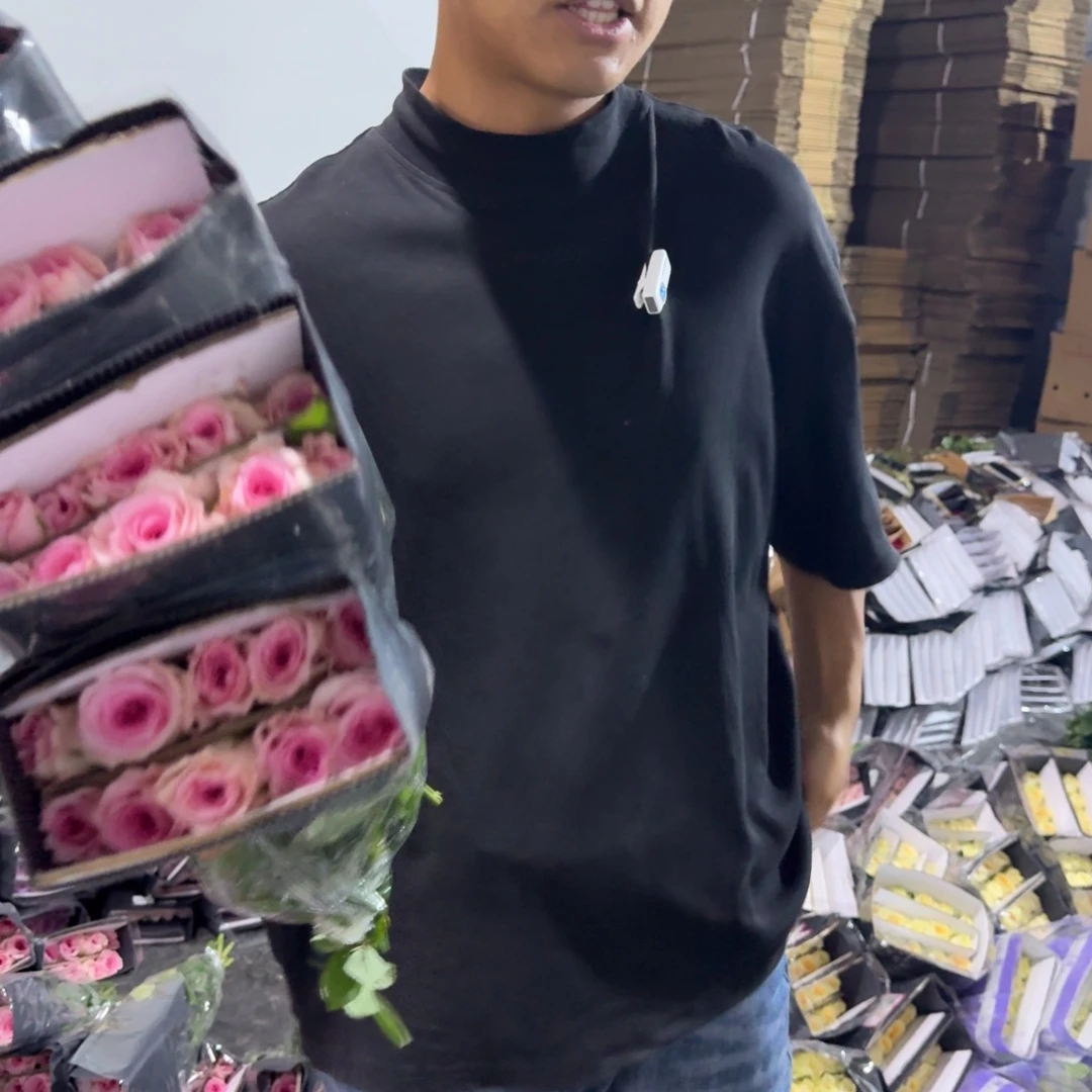 洛神2扎包邮价秒杀