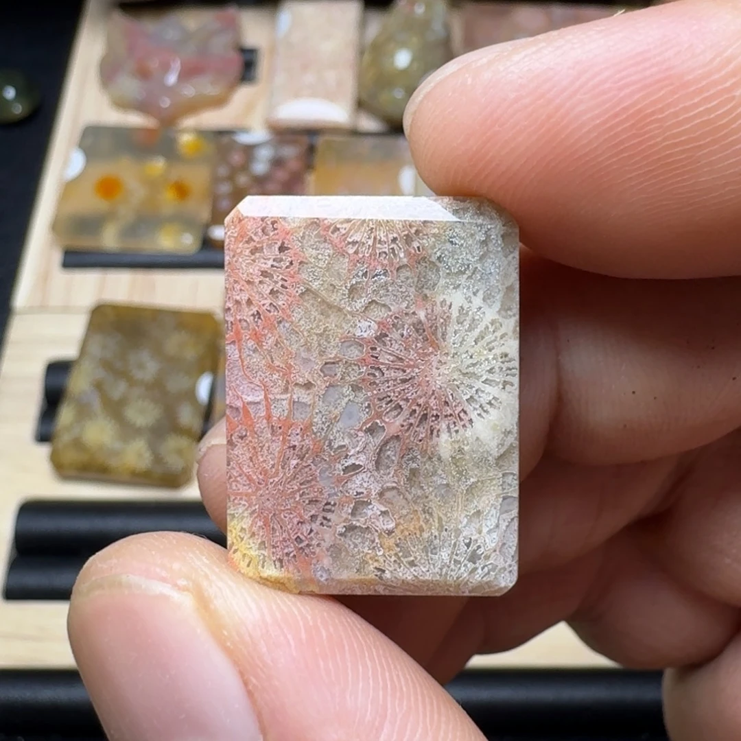 硅化玉未镶嵌纯天然色有机玉石保真色