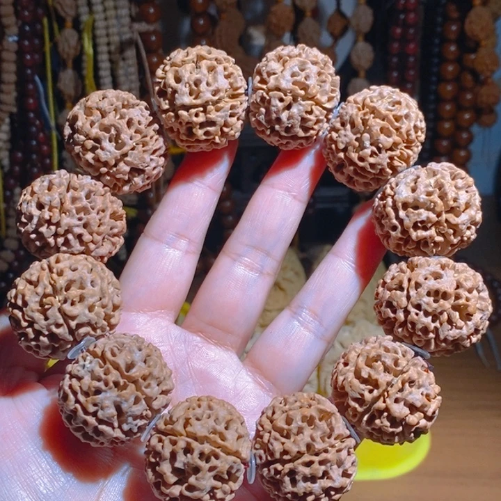 野生多瓣大金刚手持